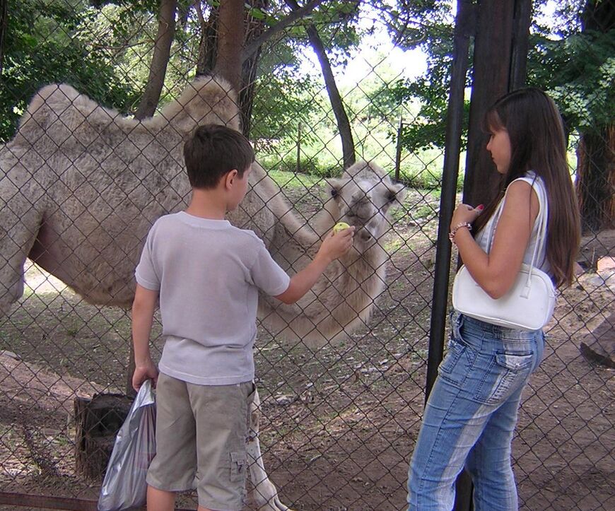 Зоопарк в Алматы