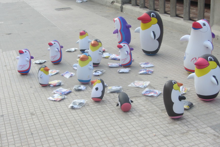 продажа пингвинов в Сицилии (!)
