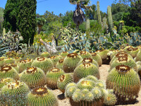 Ботанический сад «Пинья де Роса»