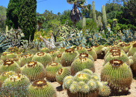 Ботанический сад «Пинья де Роса»