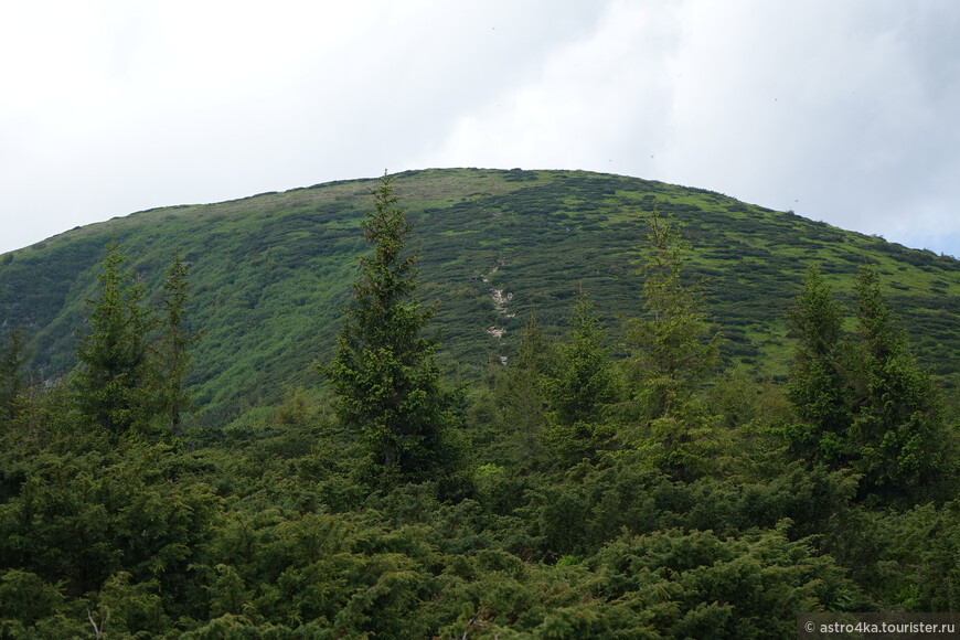 Малая Говерла, видны туристы, карабкающиеся в гору.