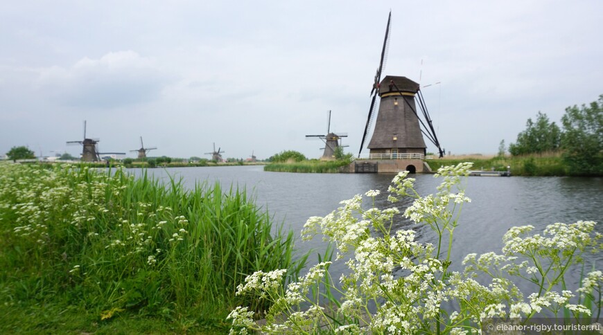 Нидерланды, mijn liefste. Kinderdijk