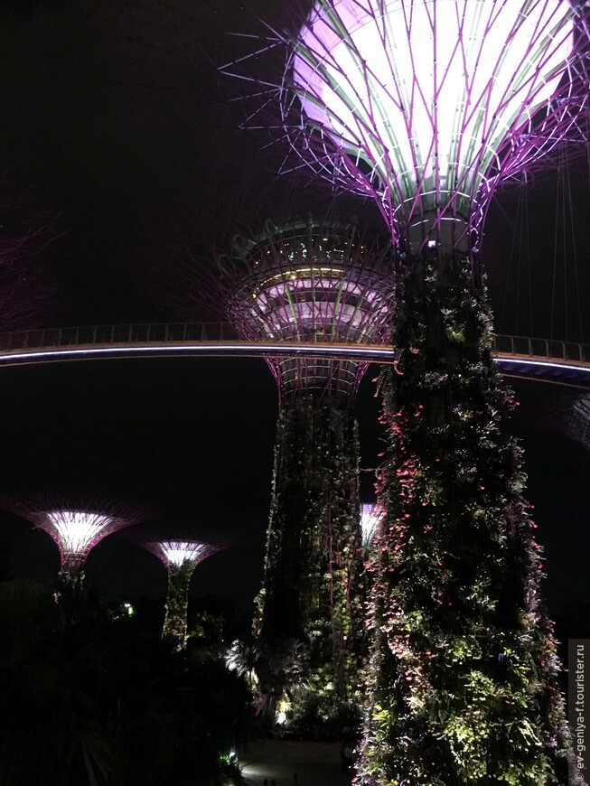 Сингапур. Один идеальный день в Marina Bay Sands