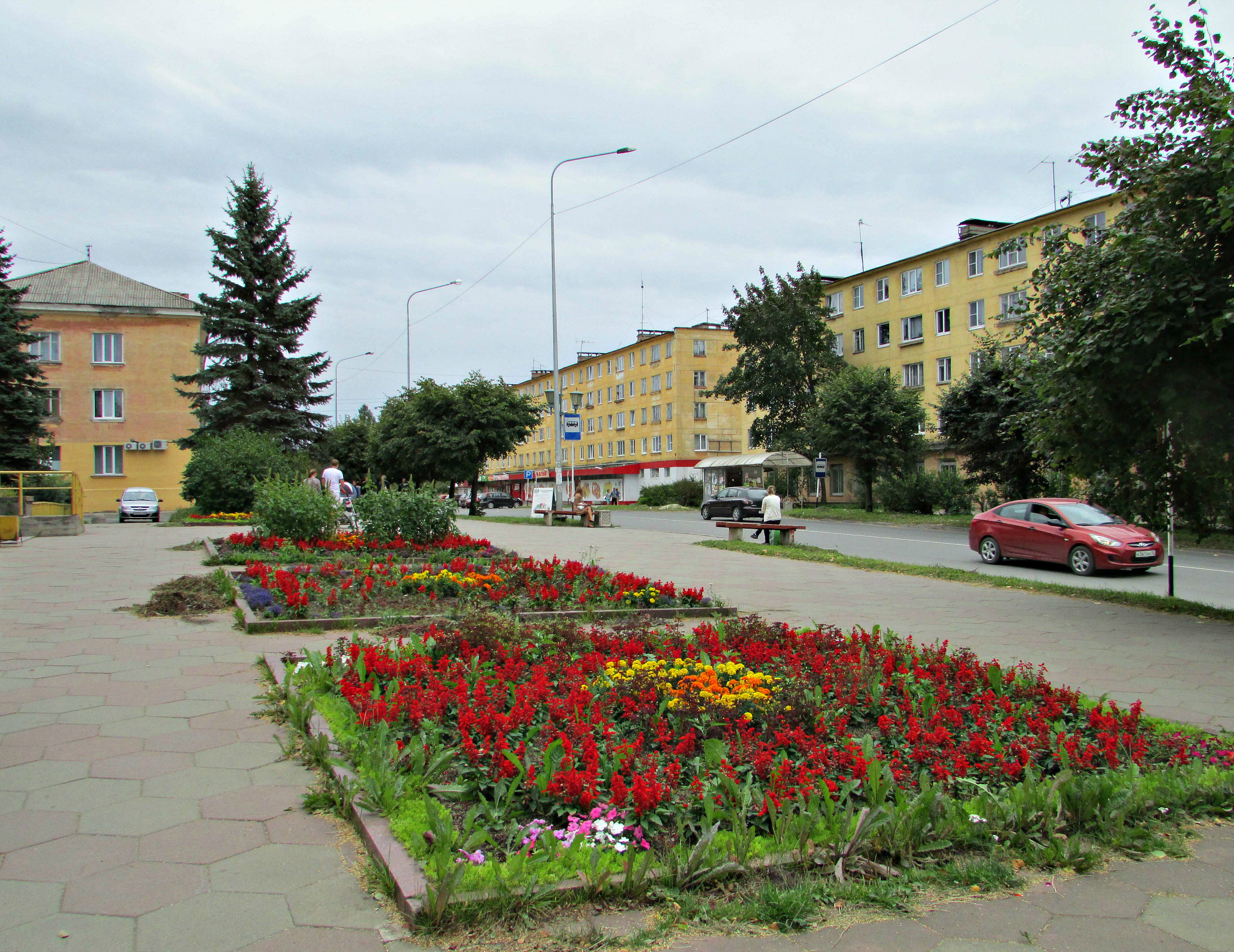 Стела кондопога