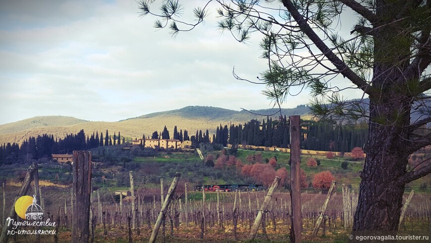 Кьянти: холмы, оливки, виноградники и вино
