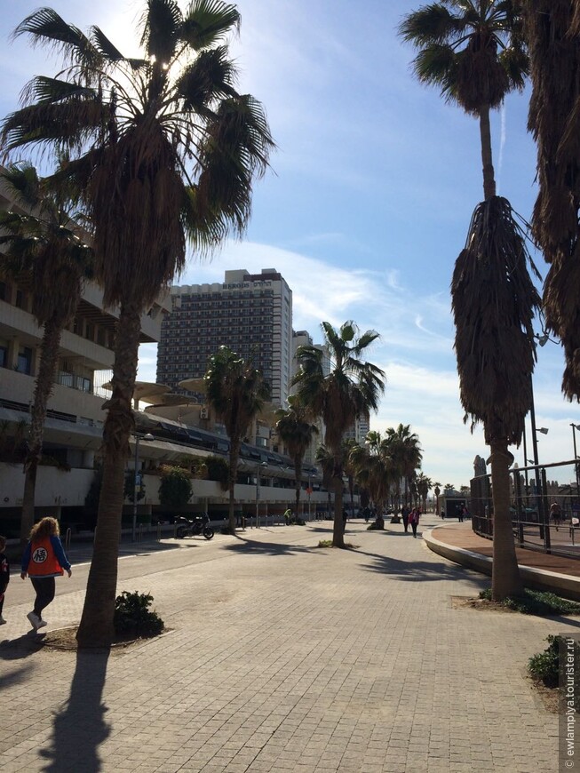 Что еще делать в Тель-Авиве, если по набережной ты уже погулял
