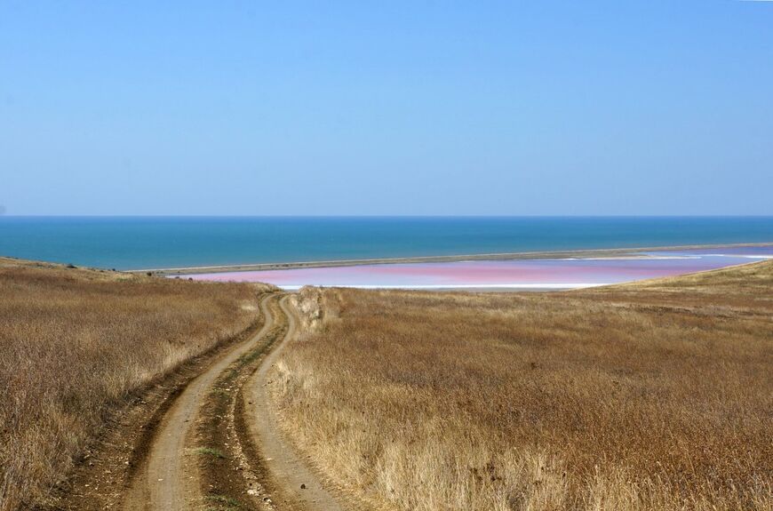 Кояшское озеро (Розовое озеро в Крыму)