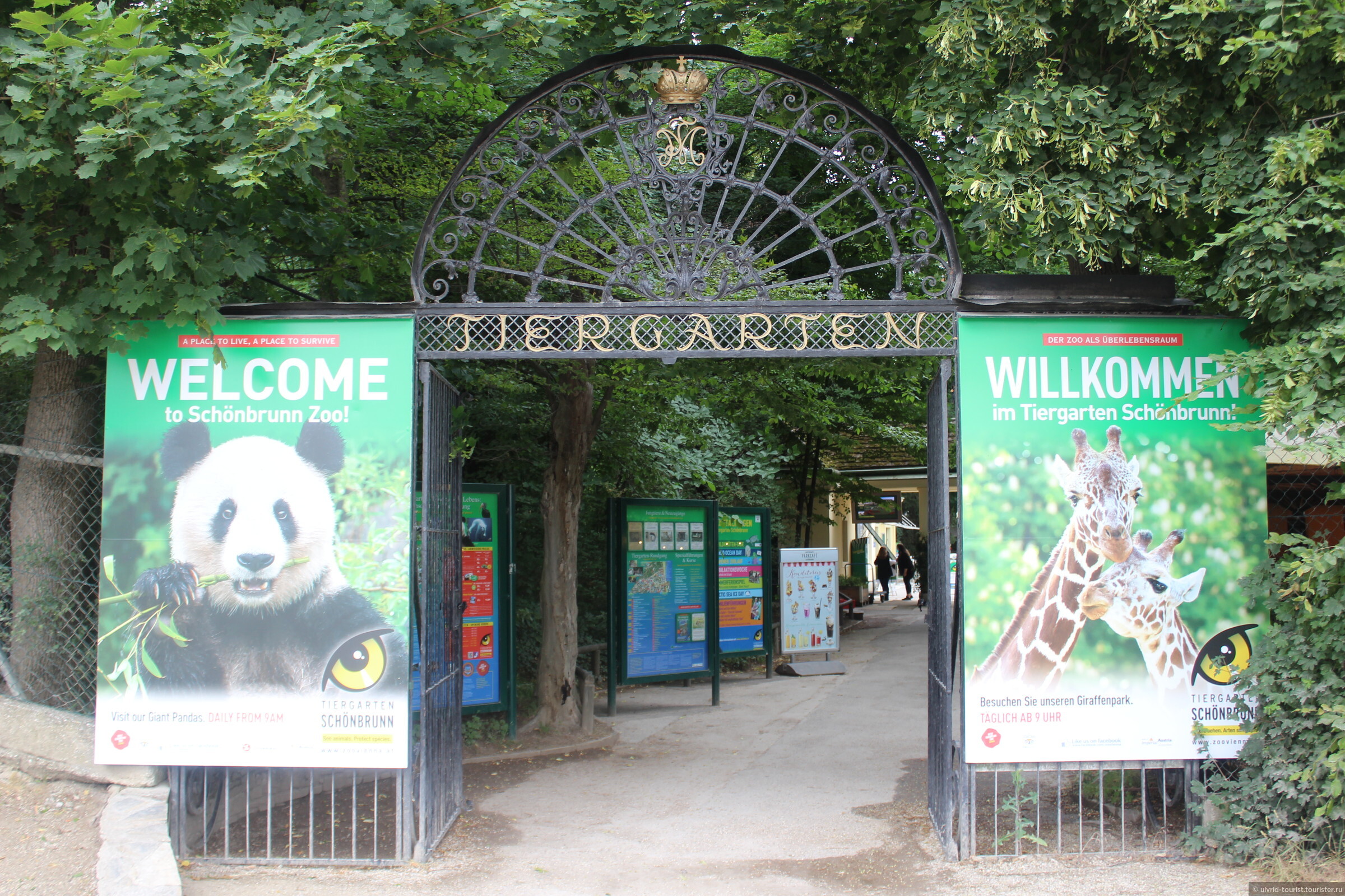Зоопарк устраивал акцию. Зоопарк Тиргартен Шенбрунн. Зоопарк Шенбрунн Австрия.