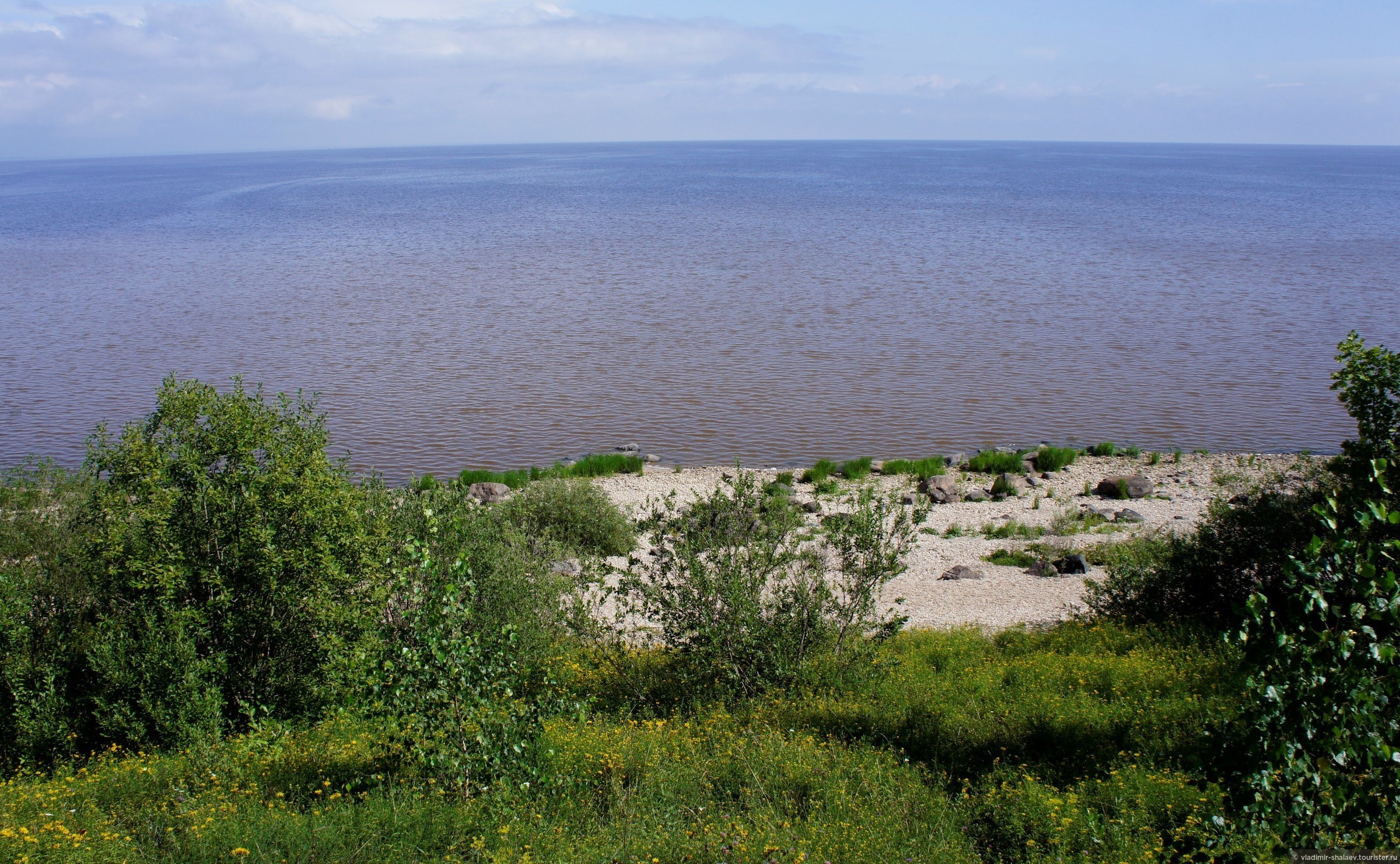 Информационная карта озера Ильмень в Новгородской области