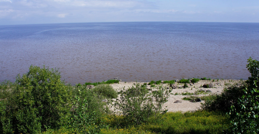Озеро Великое в Новгородской области - рыболовные характеристики и лучшие места для рыбалки