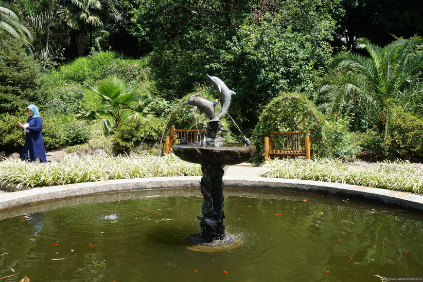 Ботанический сад Батуми