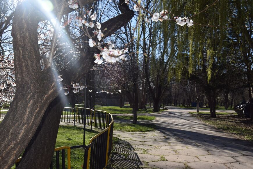 Гагаринский парк весной