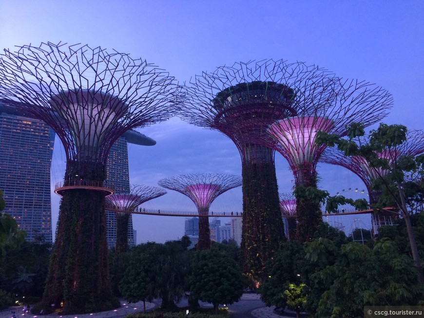 День 11. Сингапур. Сады у залива, колесо обозрения, шоу OCBC Garden Rhapsody и смотровая площадка Marina Bay Sands