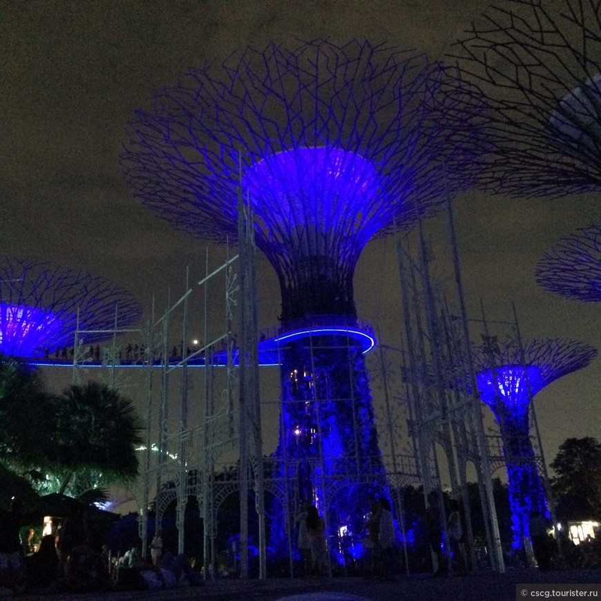 День 11. Сингапур. Сады у залива, колесо обозрения, шоу OCBC Garden Rhapsody и смотровая площадка Marina Bay Sands