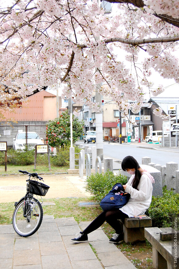 Маленький садик в одном из районов Киото