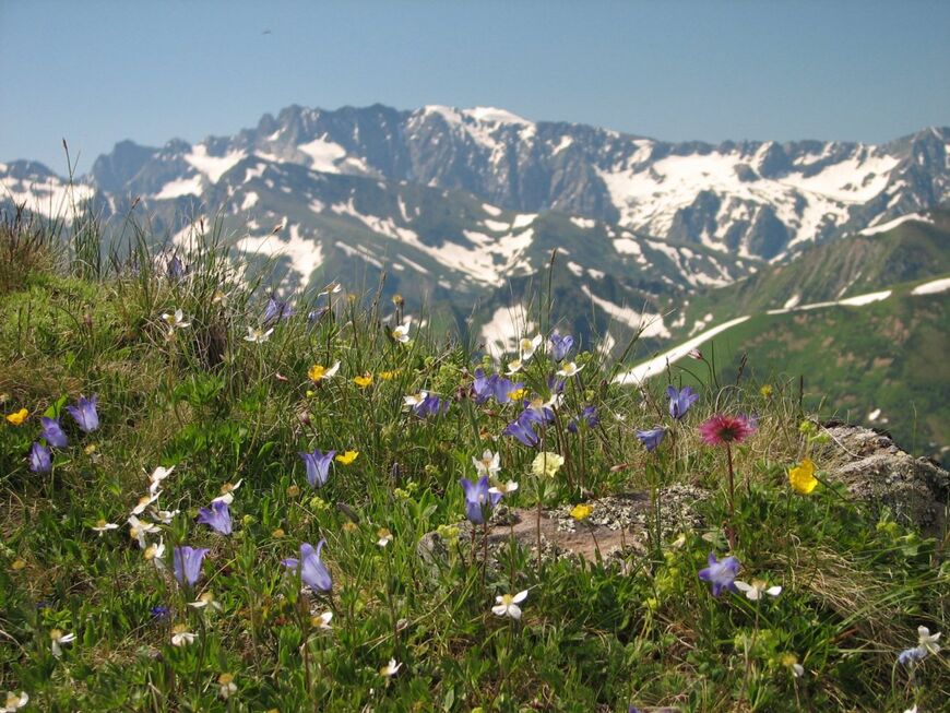 Кавказский природный биосферный заповедник 