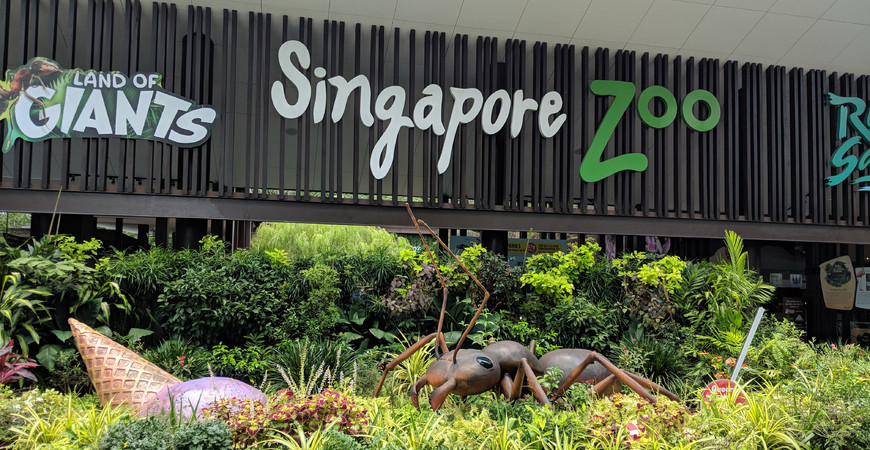 Зоопарк Сингапура