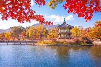 В Южной Корее начался сезон осенних листьев танпхун