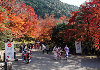 Интересные природные места Японии, в которых стоит побывать 