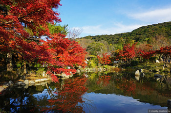 Интересные природные места Японии, в которых стоит побывать 
