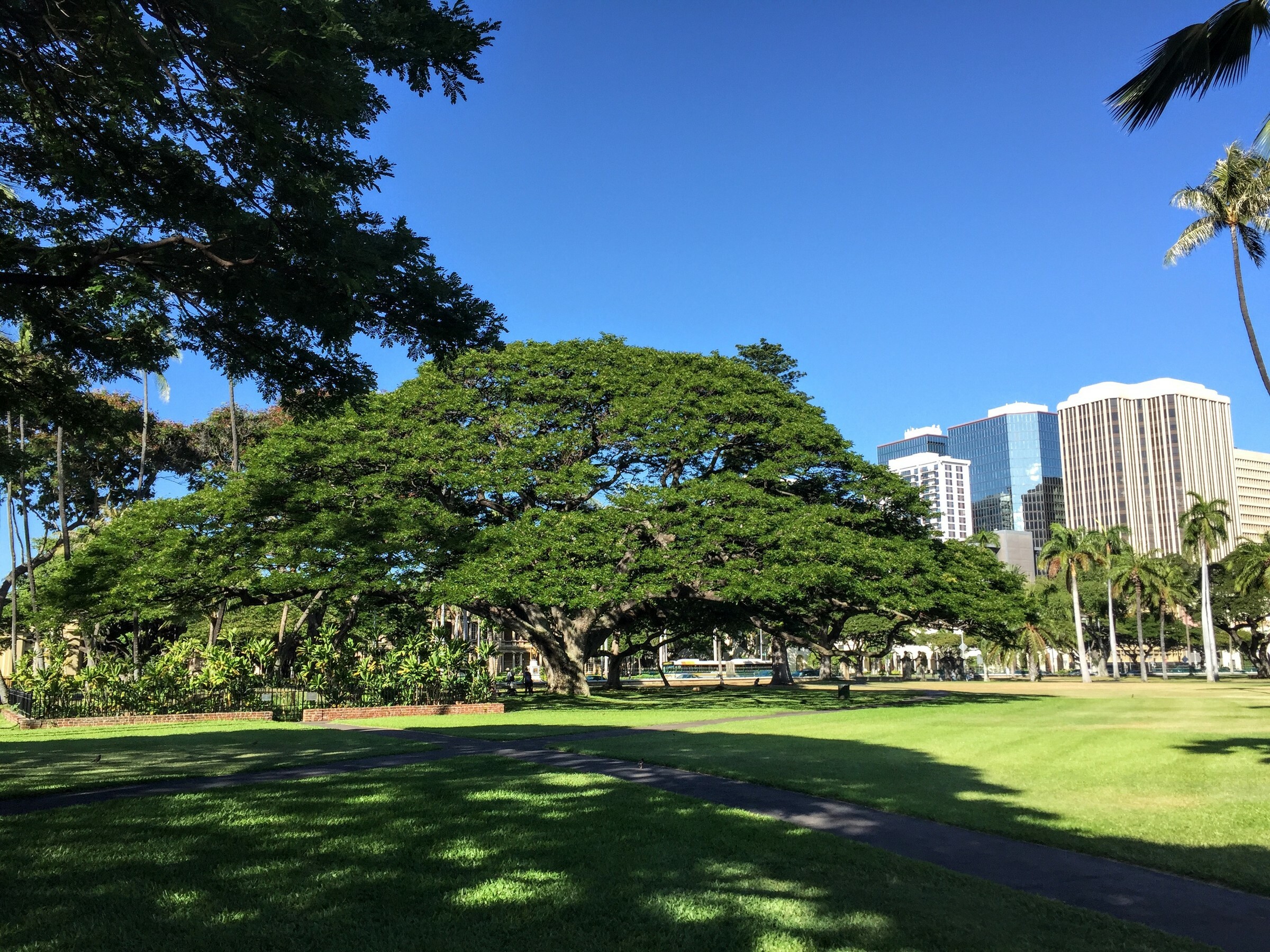 Гавайский туристический и культурный центр. Парк в Гонолулу. Оаху Гавайи архитектура. Древесные улитки Оаху.