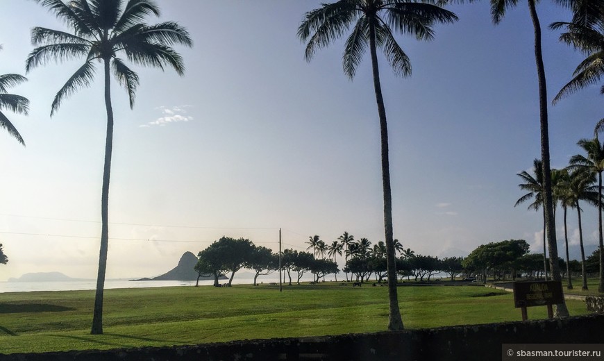 Оаху, Гавайи — остров, где цветы растут на деревьях. Парк Ваимеа
