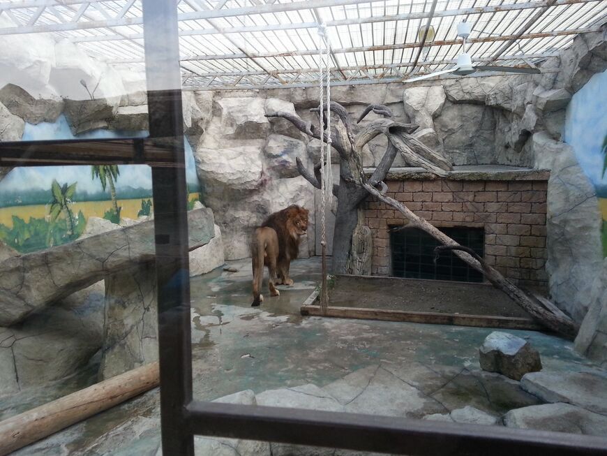 Зоопарк «Балу» в Анапе