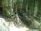 Пещера водопада в окрестностях горы Амуко