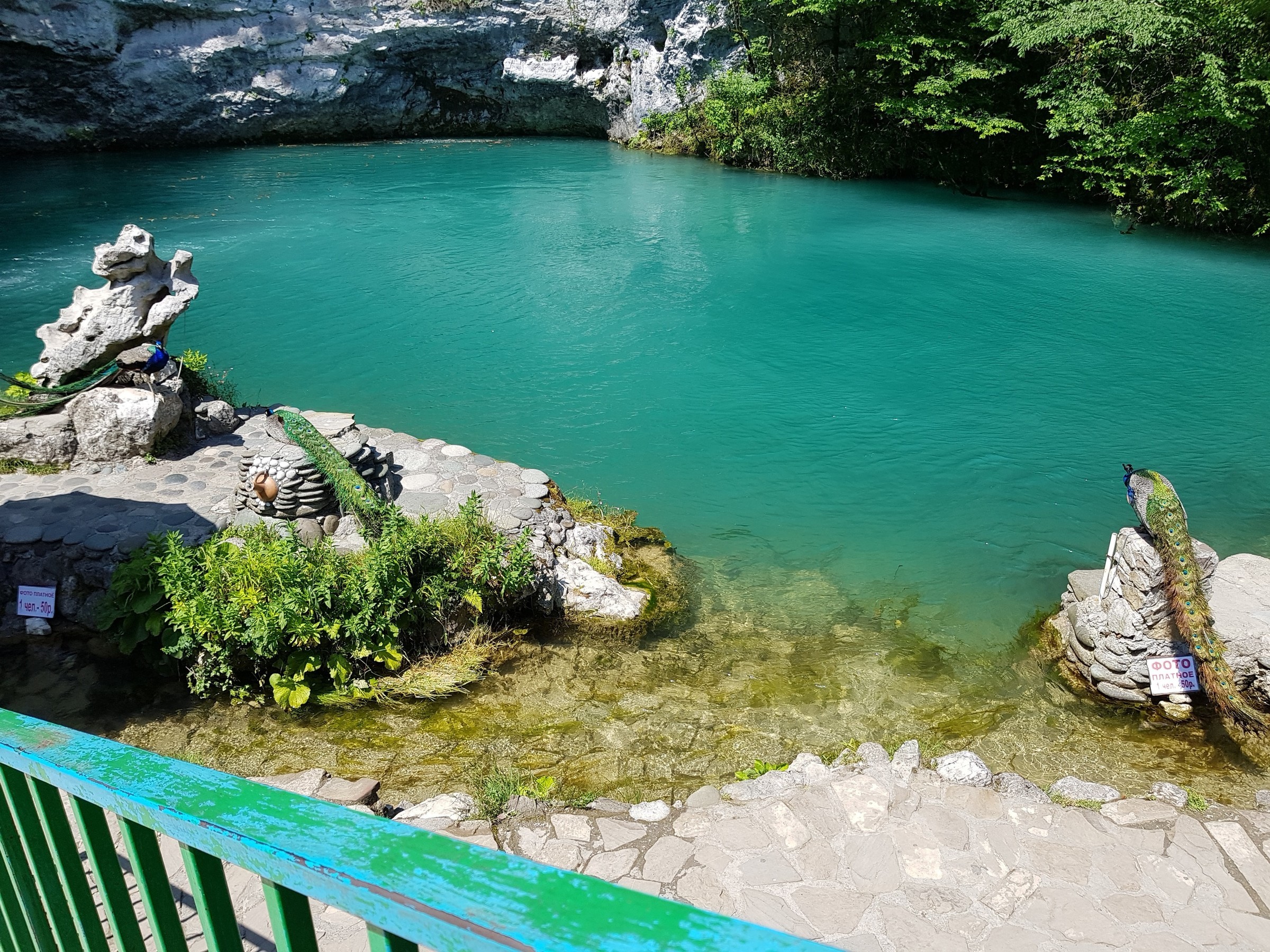 Голубые абхазии. Голубое озеро Абхазия. Озеро Рица Абхазия голубое озеро. Голубое озеро Гагра. Гагры Абхазия голубое озеро.