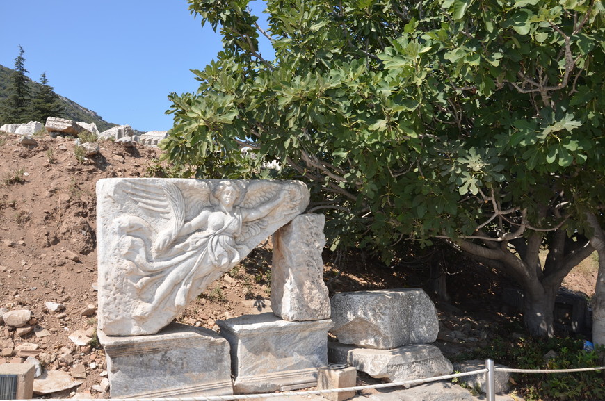 Эфес и Памуккале — древние места Турции
