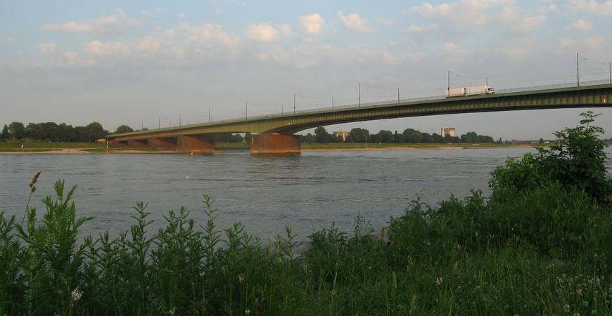 Мост кардинала Фрингса