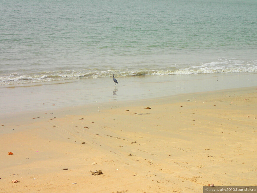 Посёлок Наньнин (Nanning) на побережье Сенегала 