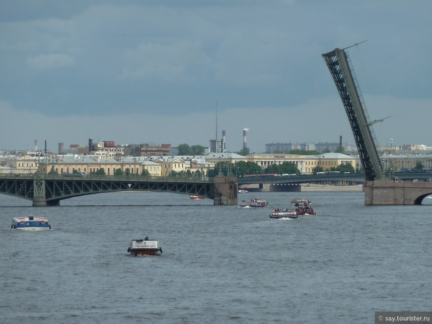 Разводка мостов — главный туристический аттракцион Петербурга. Как посмотреть?