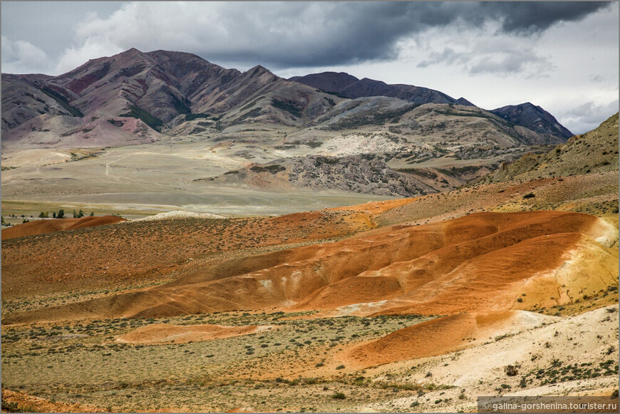 АЛТАЙ – Золотые Горы. Часть 5. Клям, марсианские пейзажи и мясо на камне