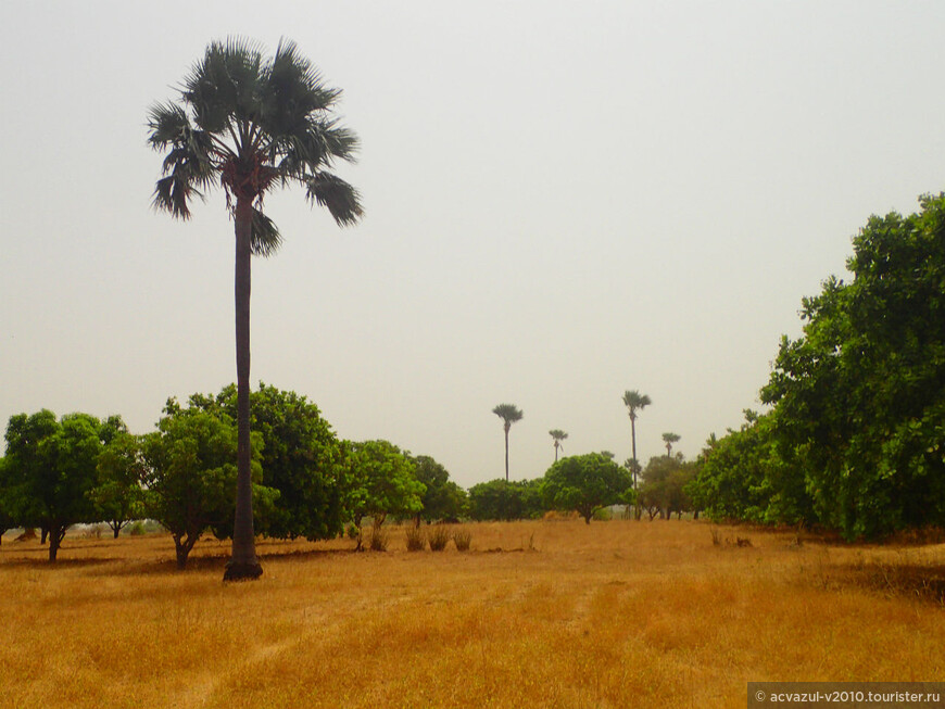 Путь в парк Дельта Салум по африканской саванне и полупустыне