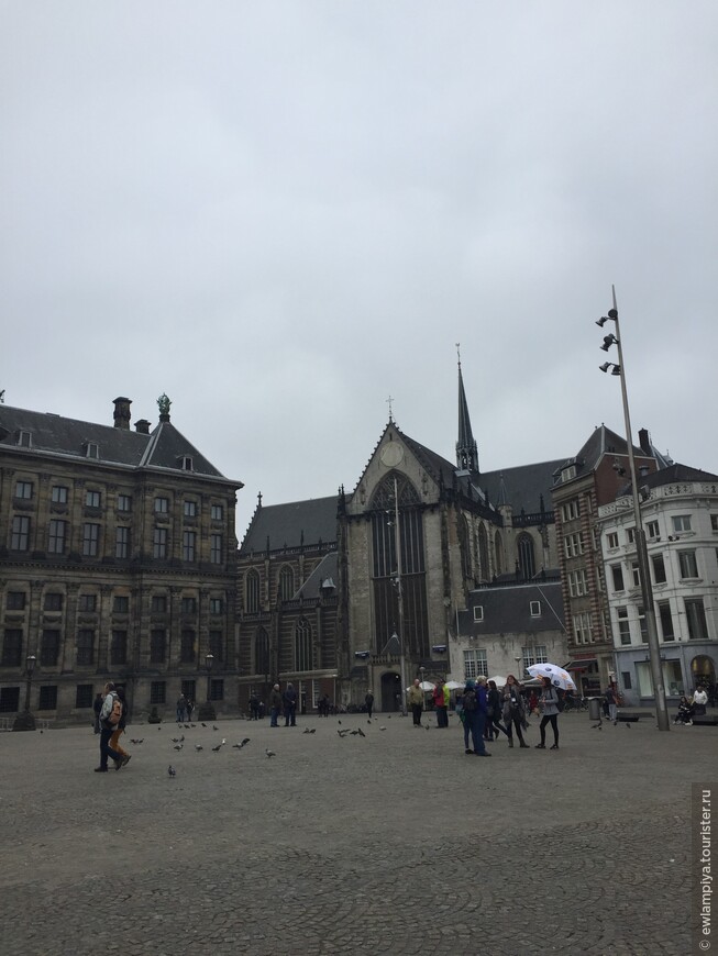 Роттердам зарабатывает, Гаага решает куда тратить, Амстердам тратит