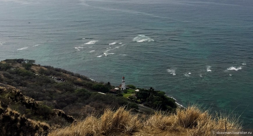 Оаху, Гавайи — остров, где цветы растут на деревьях. Кактусы и Алмазная гора