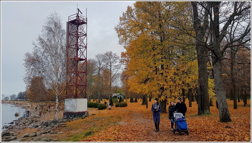 Золотой осенью из Петергофа в Вырицу