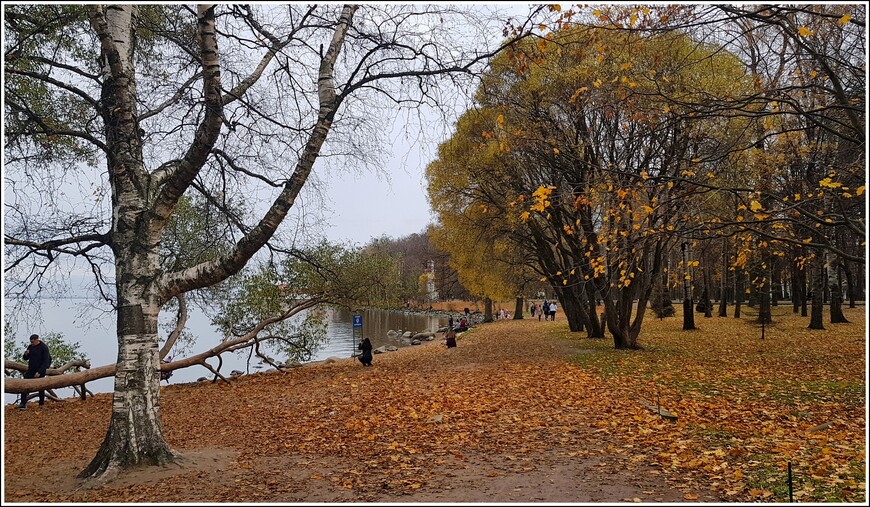 Золотой осенью из Петергофа в Вырицу