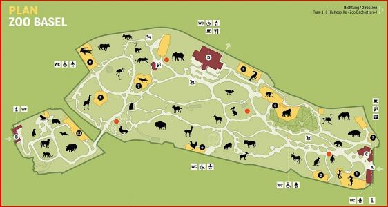 Цолли — зоопарк в Базеле, один из лучших в мире