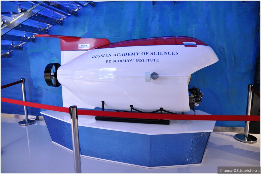 Владивостокский океанариум: посещение обязательно!