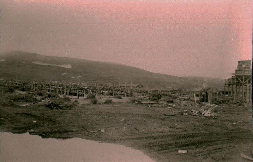 Цунами северо курильск 1952 фото