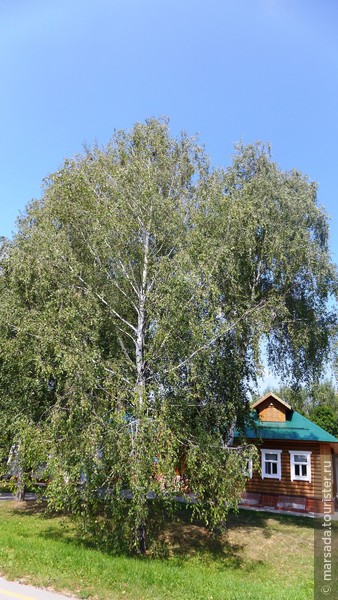 Рязанский девичник, или четыре грации в столице ВДВ