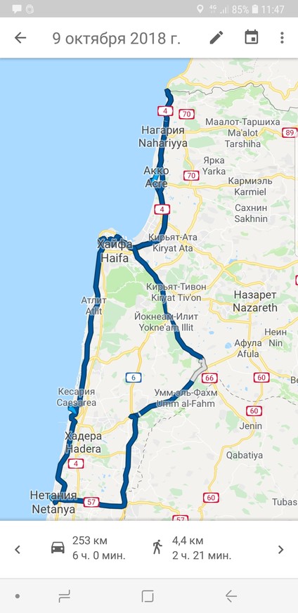 Коровы Армагеддона или 1500 километров Израиля