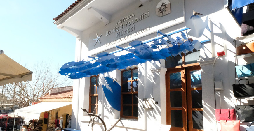 Морской биологический музей Анталии