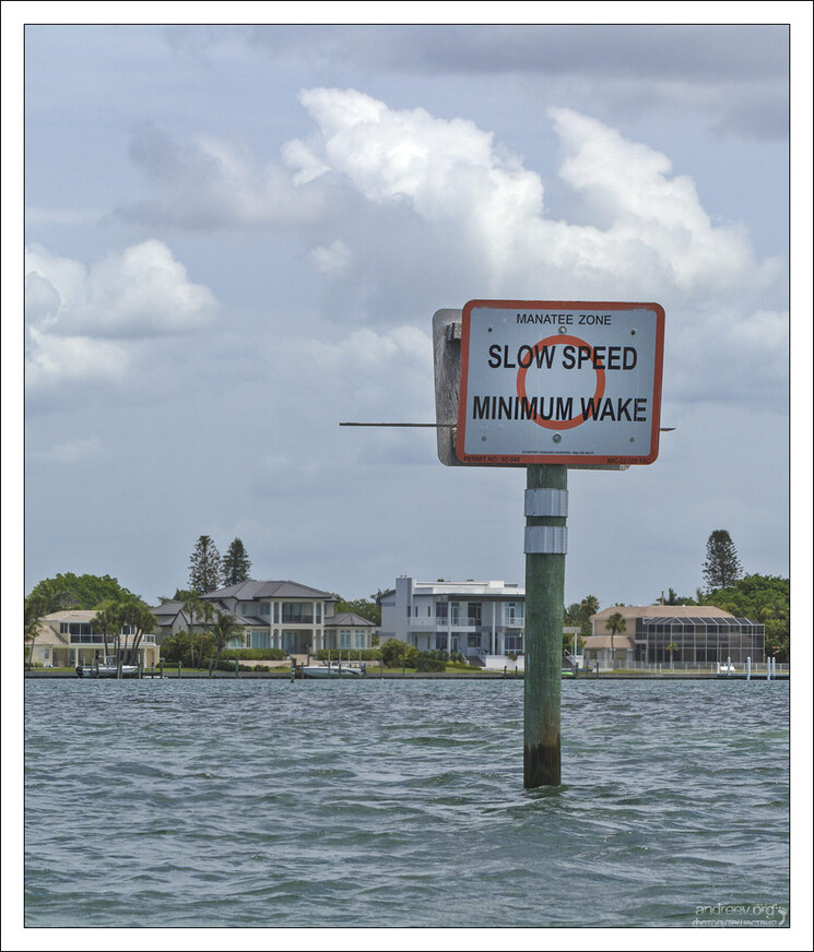 Флорида: где живет морская корова?