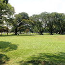 Парк Вихарамахадеви 