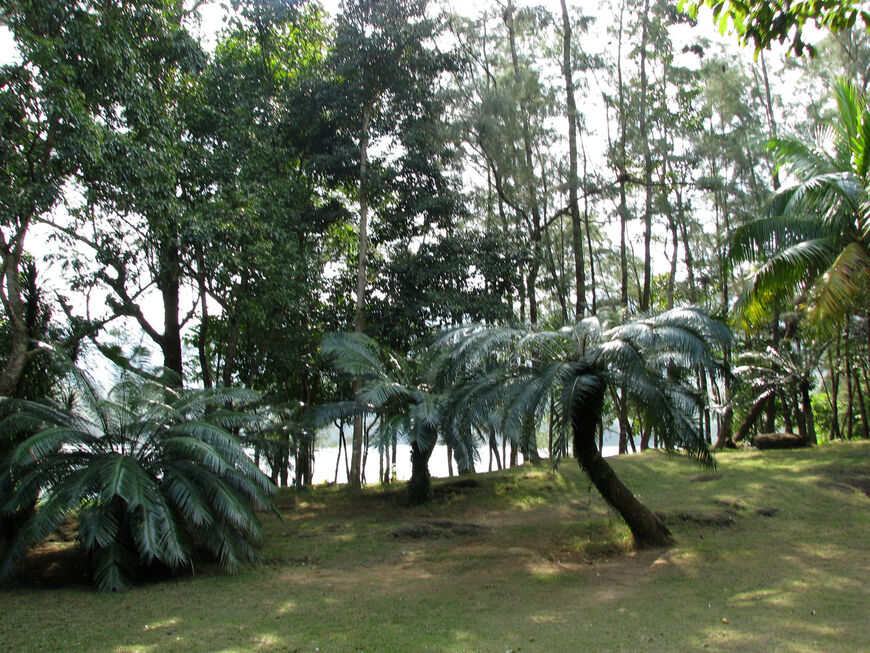 Ботанический сад Синлун