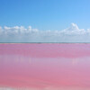 Розовые озера на полуострове Юкатан