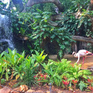 Зоопарк Коломбо